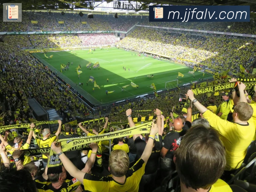 多媒体互动体验